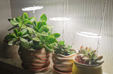 Angel-Ring Plant USB Grow Light